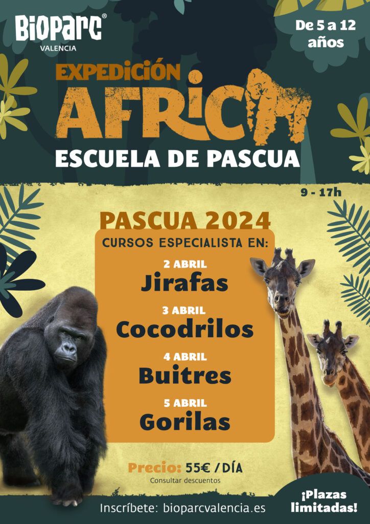 Y2save Escuela de Pascua