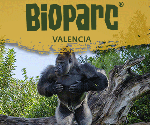 BIOPARC_Valencia_2023_gorila_300x250