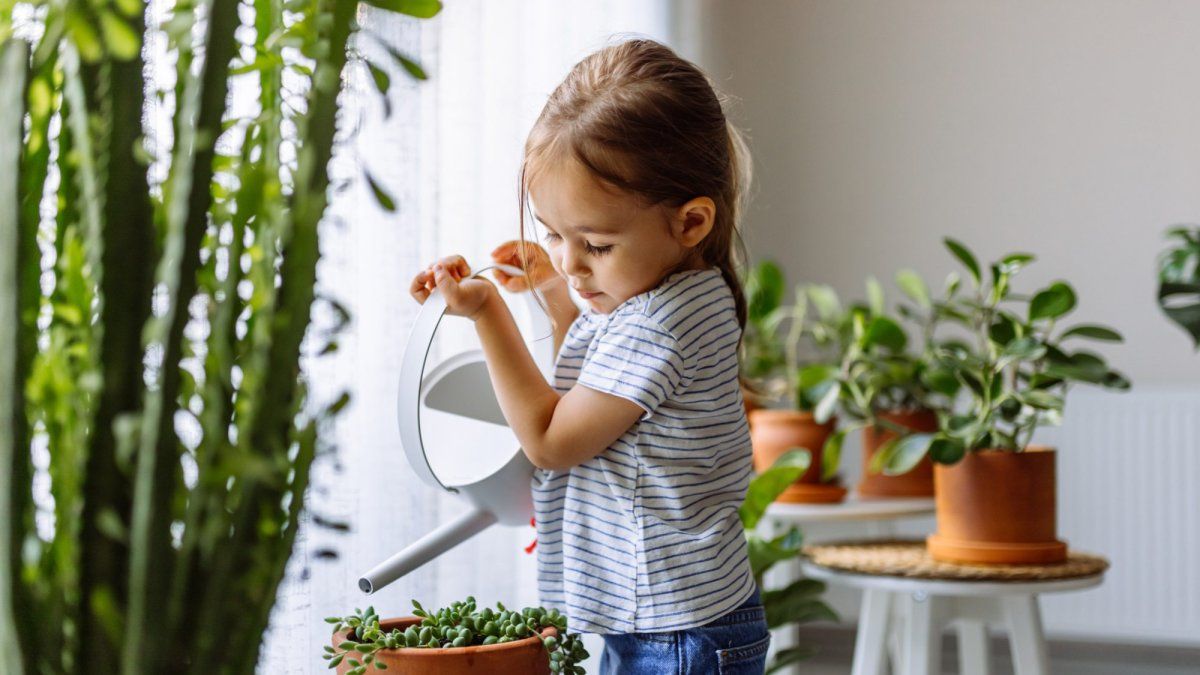 cuidar plantas en casa con los niños
