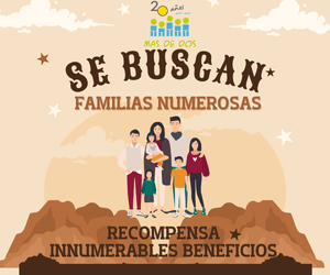 Post se buscan familias numerosas (300 x 250 px)