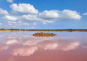 Lagunas de La Mata y Torrevieja