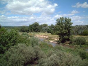 Curso Medio del Río Guadarrama
