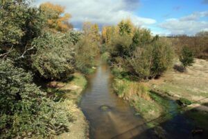 Curso Medio del Río Guadarrama