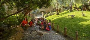 escuelas de verano en Valencia