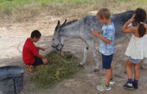 escuelas de verano en Valencia