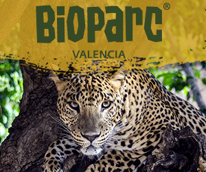 BIOPARC_Valencia_2023_leopardo_300x250
