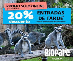300X250---Promo-tardes-verano-BIOPARC-2025