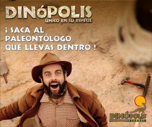 8035-Banners-Paleontologo-Dinopolis-300x250