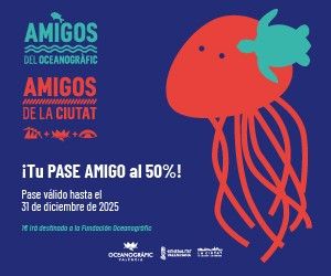 planes niños valencia