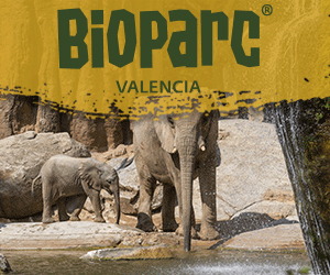 BIOPARC_Valencia_2023_elefantes_300x250