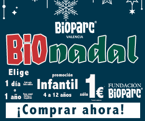 Navidad2025_banner_300x250