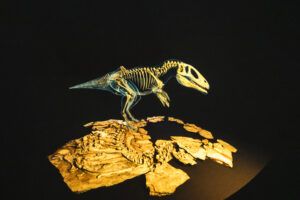 Hemisfèric_pequeheroes