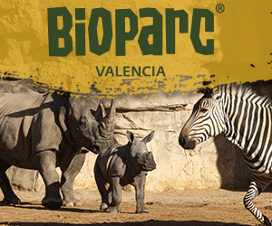 BIOPARC_Valencia_2026_300x250_rinos
