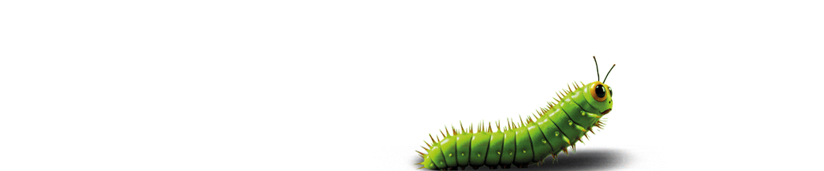 9320_Metamorfosis-2026-banner-1200x250px