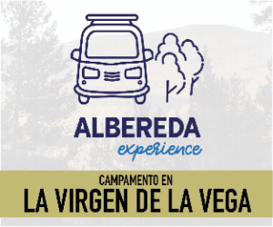 BANNER 300X250PX AE VIRGEN