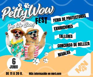 digitales_pettywow_heroes300x250
