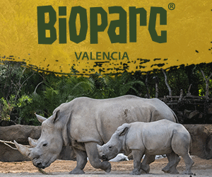 BIOPARC_Valencia_2026_300x250_rinocerontes